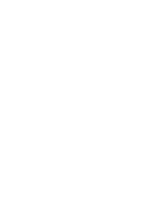 Path 3000